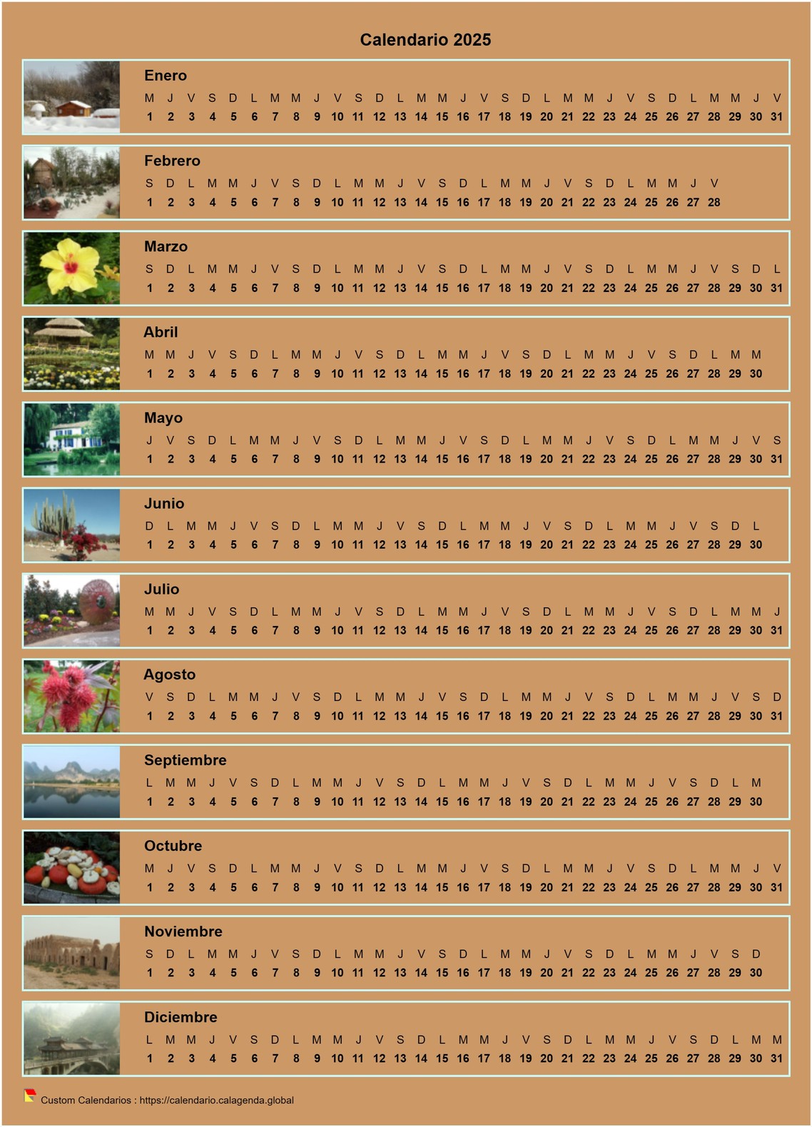 Calendario 2025 anual horizontal con 12 fotos