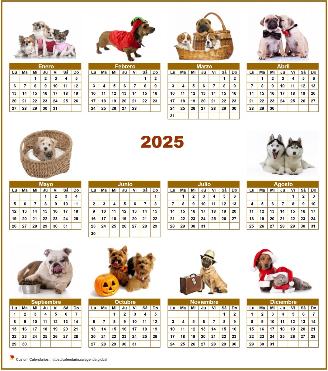 Calendario 2025 especial anual 'perros' con 10 fotos