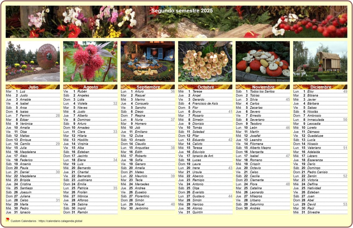 Calendario 2025 semestral en columnas con una foto diferente cada mes Calendario 2025 semestral en columnas con una foto diferente cada mes