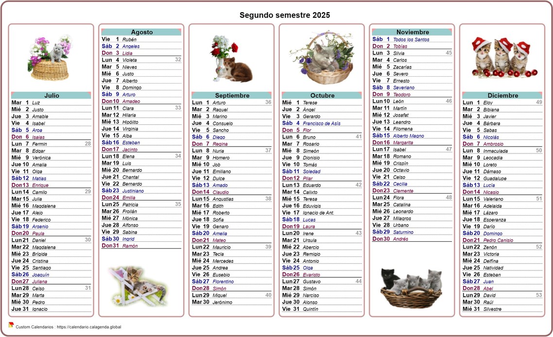 Calendario 2025 gatos de medio año Calendario 2025 gatos de medio año