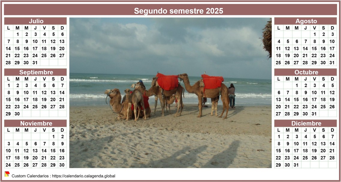 Calendario 2025 medio año de estilo calendario de posts con foto en el centro Calendario 2025 medio año de estilo calendario de posts con foto en el centro