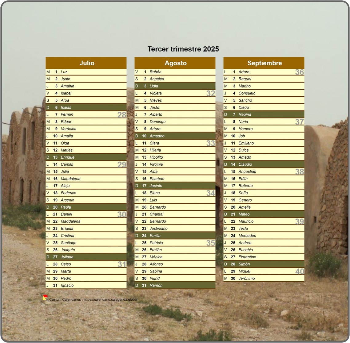 Calendario 2025 trimestral decorativo con foto, formato retrato, una columna al mes Calendario 2025 trimestral decorativo con foto, formato retrato, una columna al mes