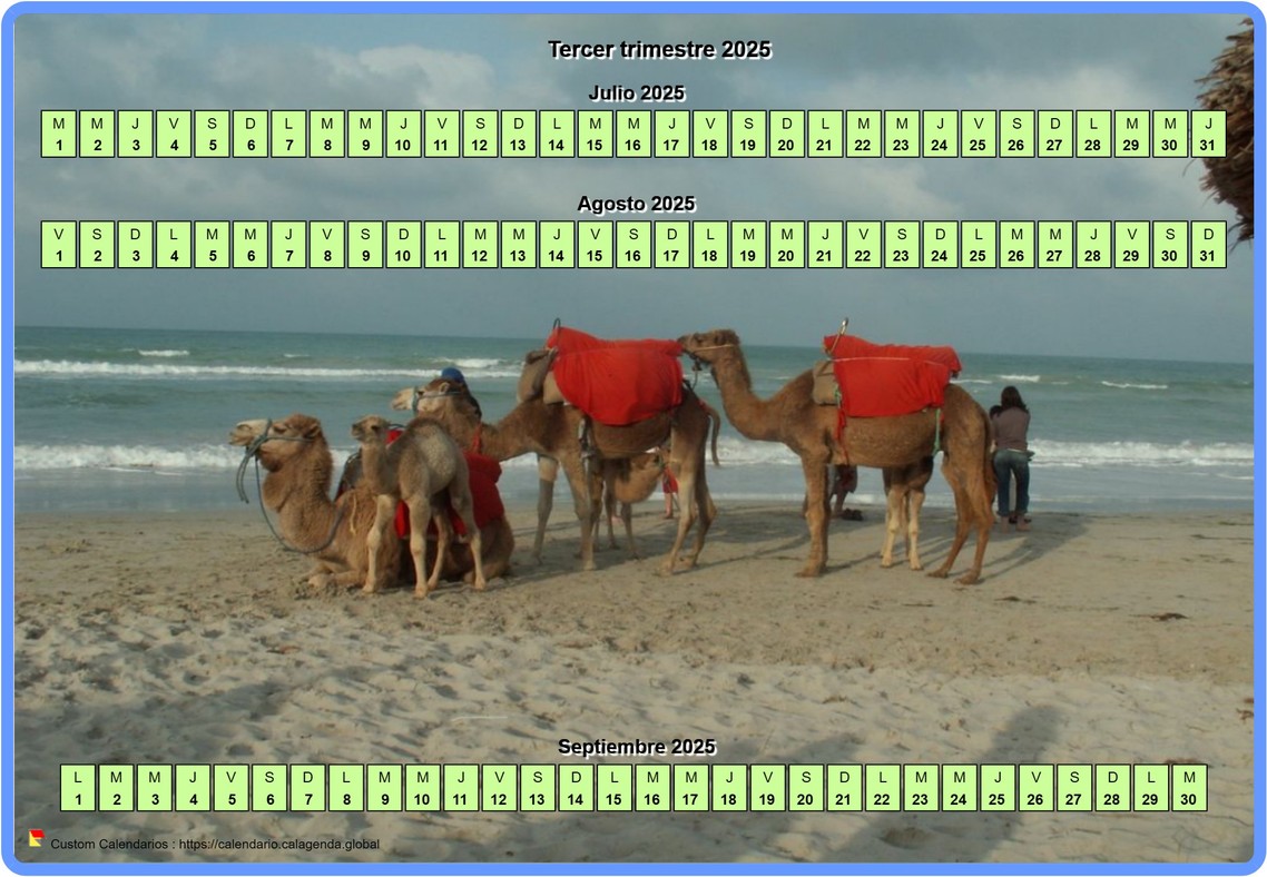 Calendario 2025 trimestral horizontal con foto de fondo Calendario 2025 trimestral horizontal con foto de fondo