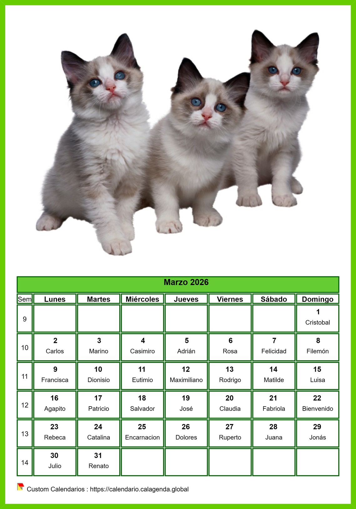 Calendario marzo 2026 gatos Calendario marzo 2026 gatos