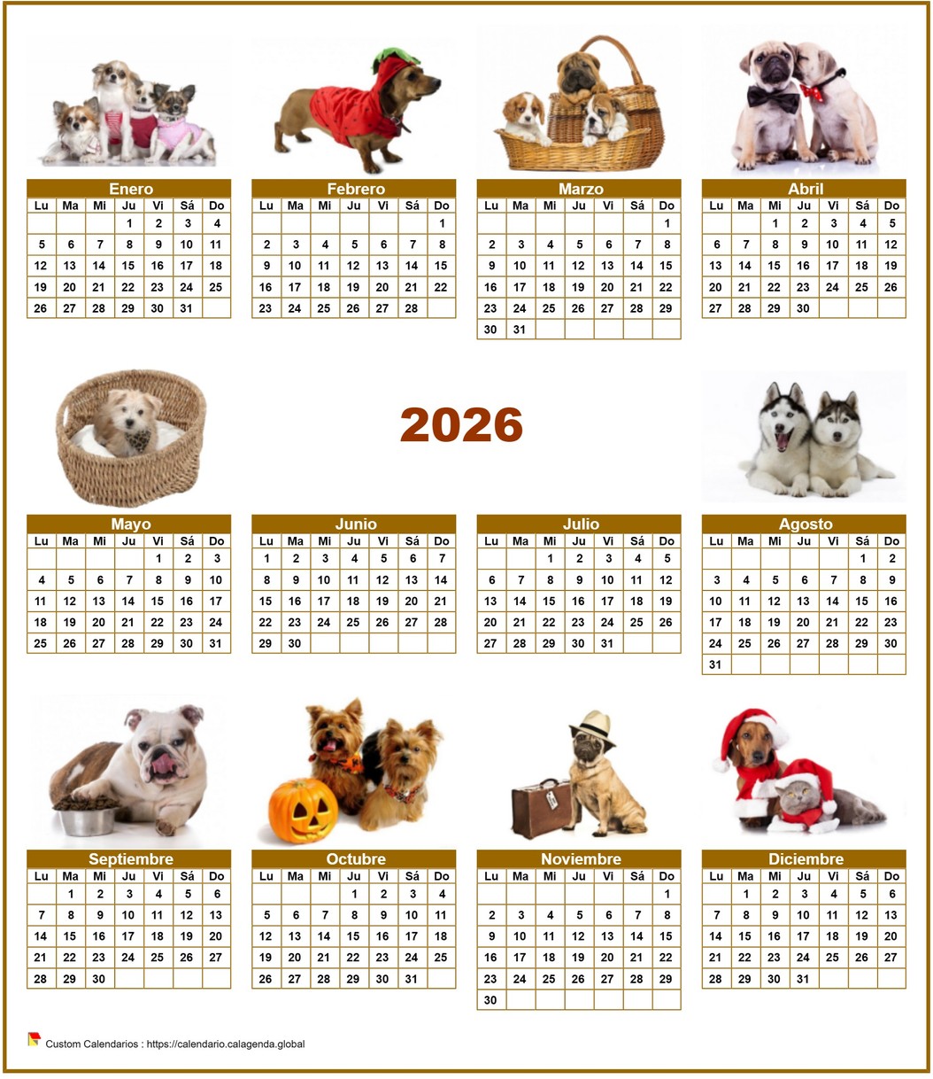 Calendario 2026 especial anual 'perros' con 10 fotos Calendario 2026 especial anual 'perros' con 10 fotos