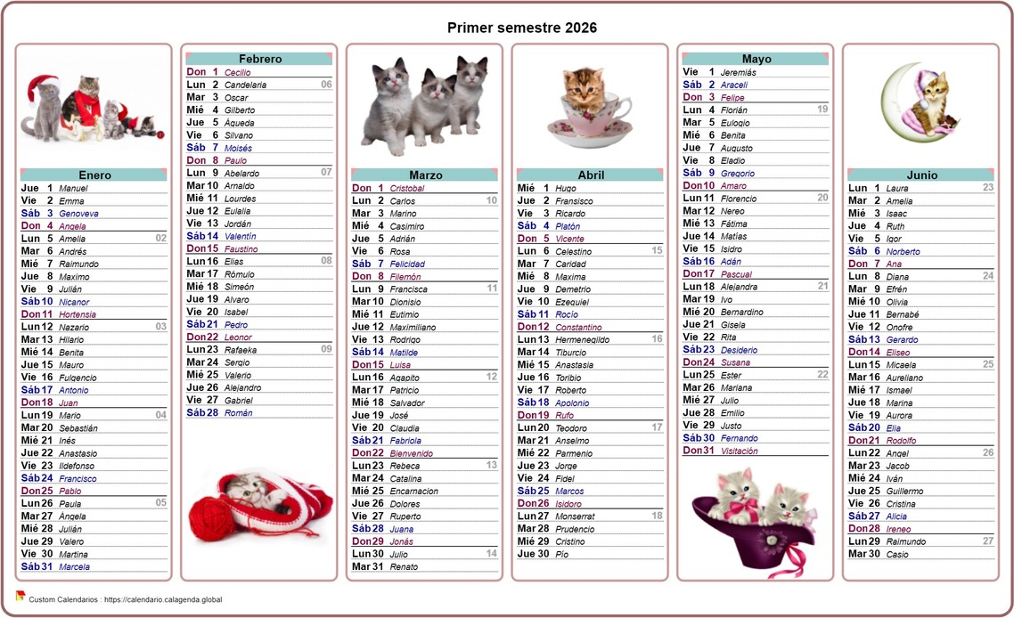 Calendario 2026 gatos de medio año Calendario 2026 gatos de medio año