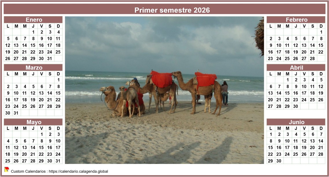 Calendario 2026 medio año de estilo calendario de posts con foto en el centro