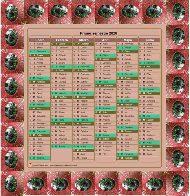 Calendario 2026 semestral decorativo en columna, con marco de fotos, formato retrato