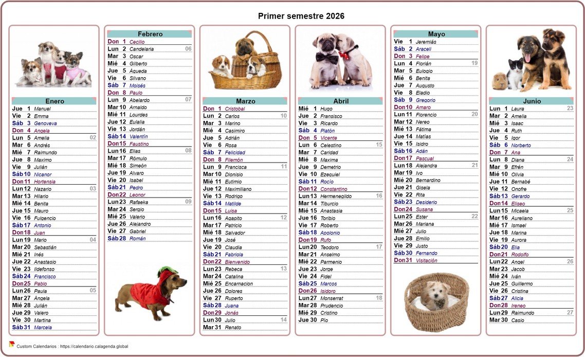 Calendario 2026 perros de medio año