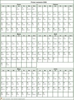 Calendario semestral formato vertical