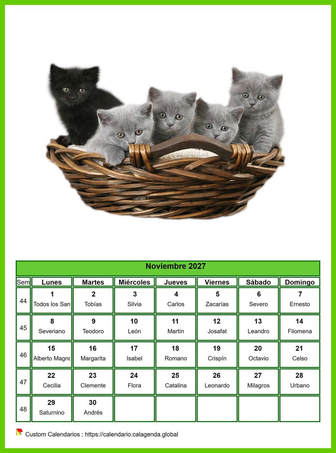 Calendario noviembre 2027 gatos