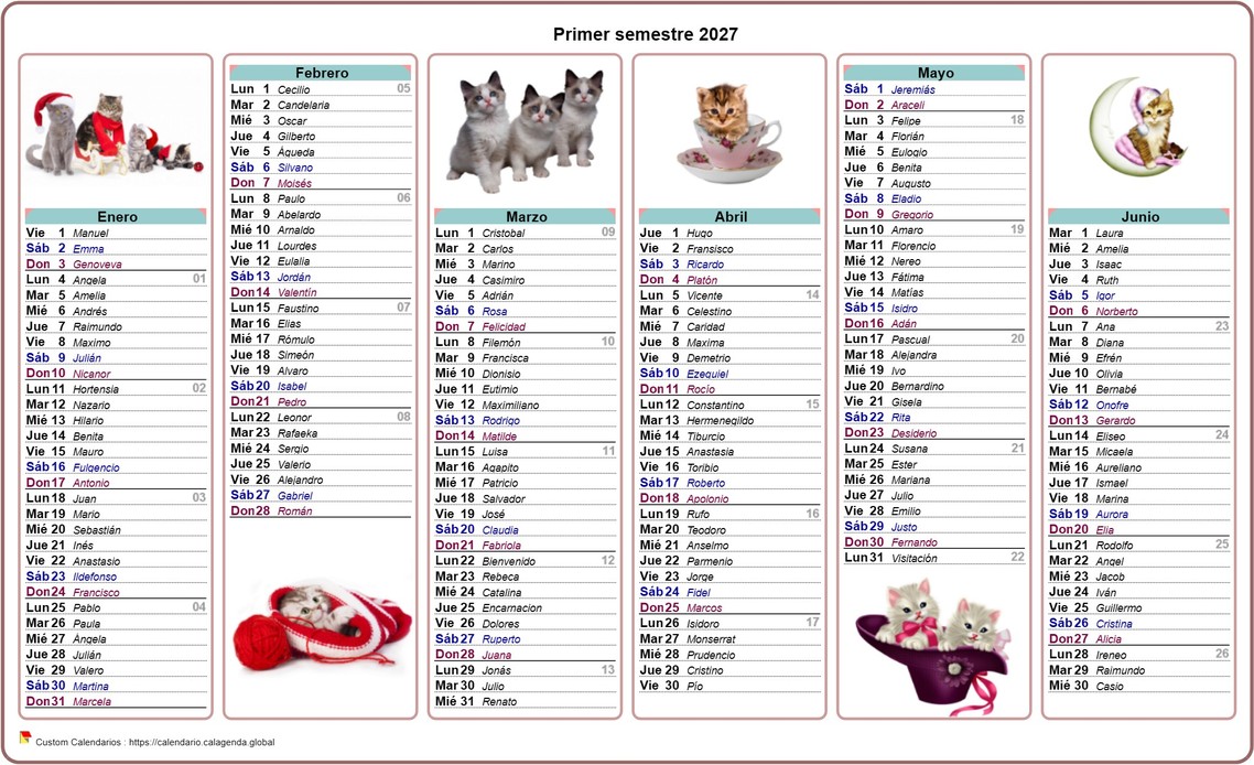 Calendario 2027 gatos de medio año