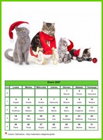 Calendario enero 2027 'gatos'