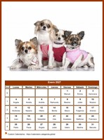 Calendario mensual de la serie 'perros'