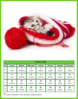Calendario febrero 2027 'gatos'