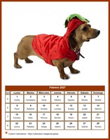 Calendario mensual de la serie 'perros'