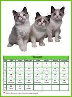 Calendario marzo 2027 de la serie 'gatos'
