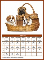 Calendario mensual de la serie 'perros' Calendario mensual de la serie 'perros'