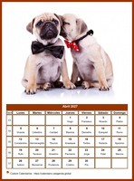 Calendario mensual de la serie 'perros' Calendario mensual de la serie 'perros'