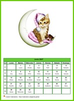 Calendario junio 2027 de la serie 'gatos'