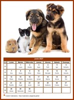 Calendario mensual de la serie 'perros' Calendario mensual de la serie 'perros'