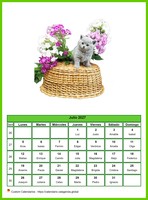 Calendario julio 2027 de la serie 'gatos'