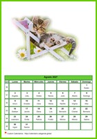 Calendario agosto 2027 de la serie 'gatos'
