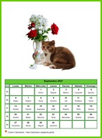 Calendario septiembre 2027 de la serie 'gatos'
