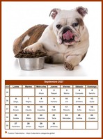Calendario mensual de la serie 'perros'