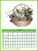 Calendario octubre 2027 'gatos'