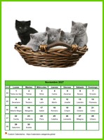 Calendario noviembre 2027 'gatos'