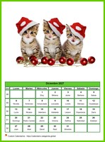 Calendario diciembre 2027 de la serie 'gatos'