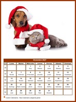 Calendario mensual de la serie 'perros'