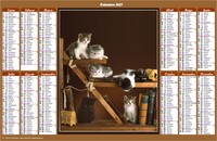 Calendario anual santoral 2027 con gatos Calendario anual santoral 2027 con gatos