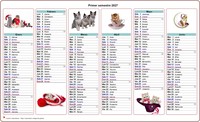 Calendario 2027 de gatos
