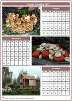 Calendario trimestral con una foto por mes 2027 Calendario trimestral con una foto por mes 2027